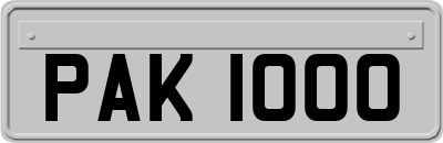 PAK1000