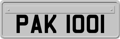 PAK1001