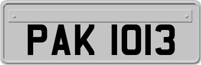 PAK1013