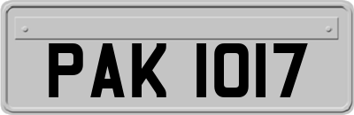 PAK1017