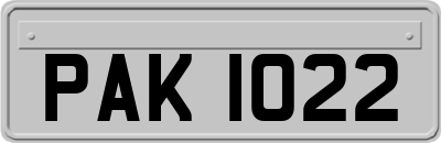 PAK1022