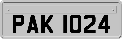 PAK1024
