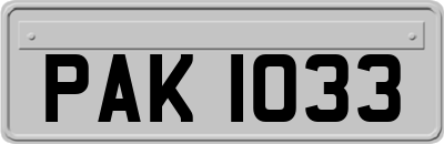 PAK1033