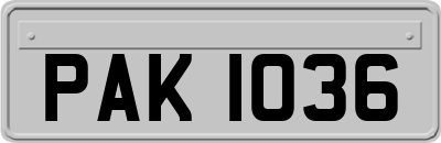PAK1036
