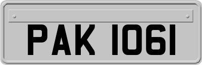 PAK1061
