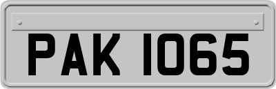 PAK1065