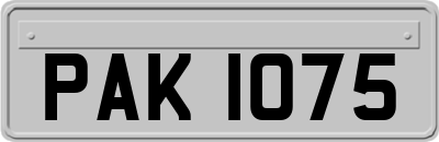 PAK1075