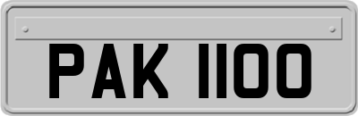 PAK1100