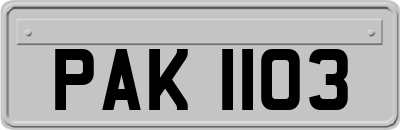 PAK1103