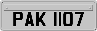 PAK1107