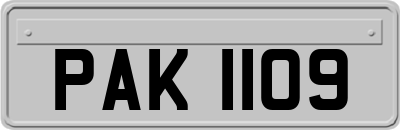 PAK1109