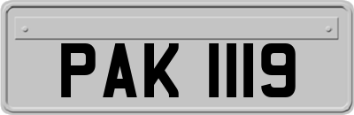 PAK1119