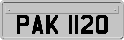 PAK1120