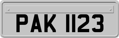 PAK1123