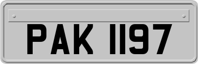 PAK1197