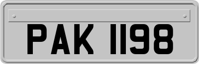 PAK1198
