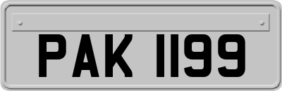 PAK1199