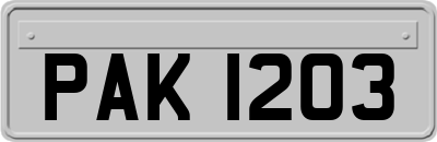 PAK1203