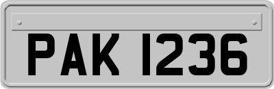 PAK1236