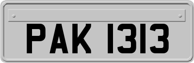 PAK1313