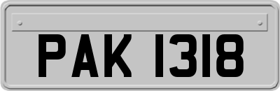 PAK1318