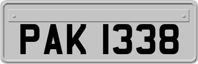 PAK1338
