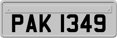 PAK1349