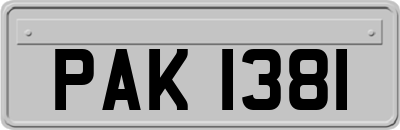 PAK1381