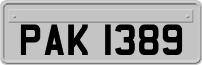 PAK1389