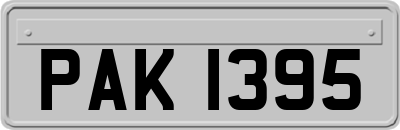 PAK1395