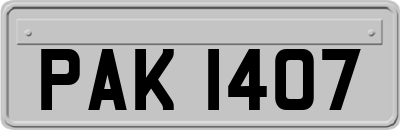 PAK1407