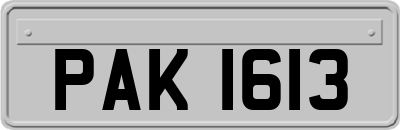 PAK1613
