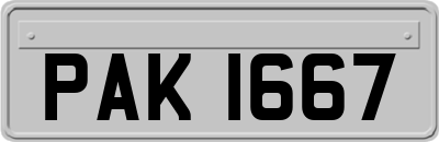 PAK1667