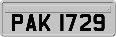 PAK1729