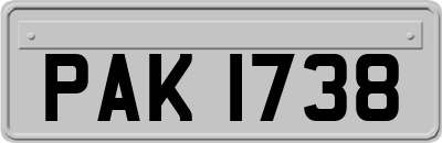 PAK1738