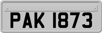 PAK1873