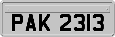PAK2313