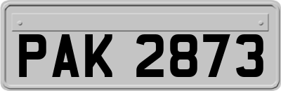 PAK2873