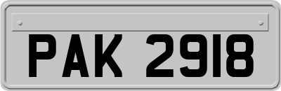 PAK2918