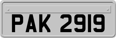 PAK2919
