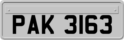 PAK3163