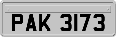 PAK3173