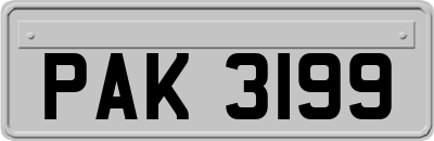 PAK3199