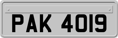 PAK4019