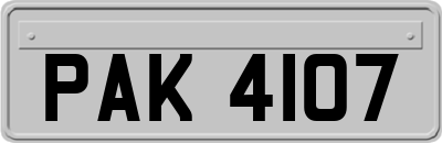 PAK4107