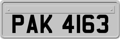 PAK4163