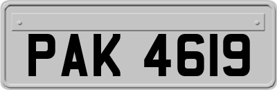 PAK4619