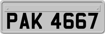 PAK4667