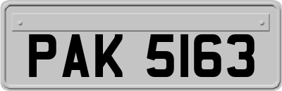PAK5163