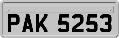 PAK5253